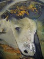 /album/fotogaleria-galeria/contemplacion-jpg1/